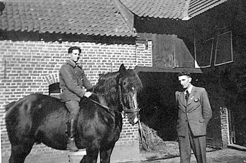 Laufenberg im Hof mit Pferd
