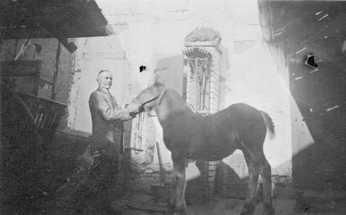 Simon Im Hof mit Fohlen