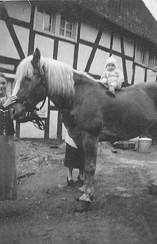 Simon Reini mit Pferd